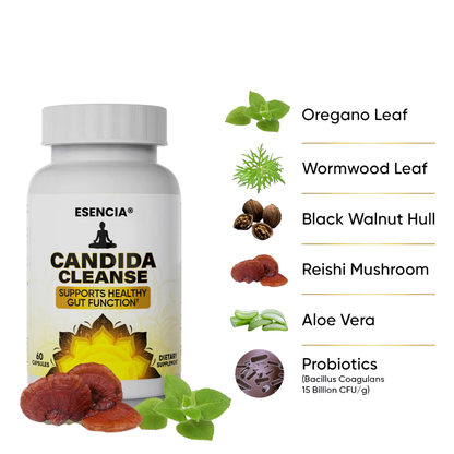 Suplemento CANDIDA apoyo intestinal y colon 60 cápsulas